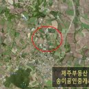 송림다방 이미지