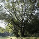 한라산신제단 이미지