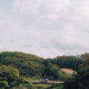 베어루트 - 공주시 웅진로 121 | 베어루트