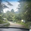 베니베럼 이미지