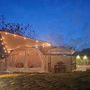 스테이 루비 이미지