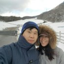 성욱목장 | 폭우 폭설 그리고 강원도