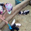 지한농장 이미지