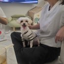 은경농장 | 2025.10.01 - 15