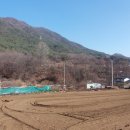 신라부동산공인중개사사무소 이미지