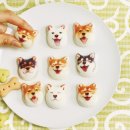 시바(SHIBA)