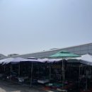 설도항 | 영광 회 맛집, 회센터 ‘설도항’ 내돈내산 솔직후기