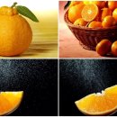 김규철농장 이미지