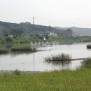 일죽제일낚시