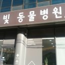 온빛동물병원 이미지