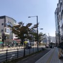 용죽초등학교 건너편 이미지