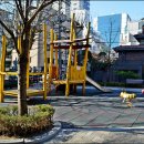 은행나무공원 이미지