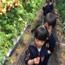 대산2농장 이미지