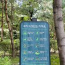 인창중앙공원(산책로) 이미지