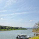 강아지산책 | 울산 애견동반여행 가볼만한곳 : 태화강 국가정원, 십리대숲 강아지 산책 후기