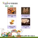웅골협동조합 이미지