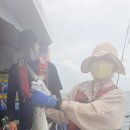 한성호낚시배 | 드디어 포항 선상낚시 대삼치 시즌이 시작되었습니다.