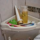 새빛 기독보육원 이미지