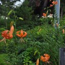 남산가는길(야경)코스 이미지