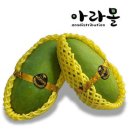 아라몰 이미지