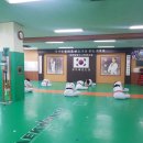 청우태권도 이미지