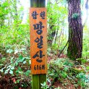 도곡리398-8