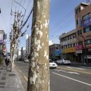 문국일치과의원