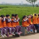 궁전어린이집 이미지