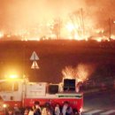 순금농장 이미지