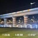 러닝독 스테이 | 241104-241110