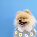 씻고놀개 이미지