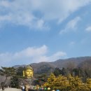 용인프로방스펜션2 이미지