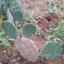 성호농원 이미지