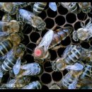 종봉농장 이미지