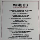 봄이오냥 이미지