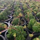 한샘농장 이미지