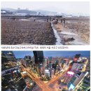 뽕밭2 이미지