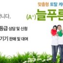 늘푸른타이어
