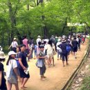 천년숲서로 이미지