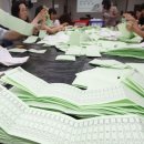 [사설] ‘48㎝ 위성 정당 투표 용지’ 4월 총선 때 또 봐야 하나 이미지