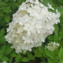 코리아국제행정사사무소 이미지