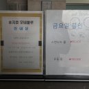 송지호모네블루 네이버블로그