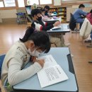 무릉초등학교 이미지