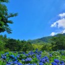 푸른산수목원 이미지