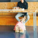 루이야 학교가자 이미지