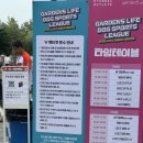 가든파이브 라이프 | 가든파이브 강아지 행사 / 도그스포츠리그 / 어질리티 대회 관람 후기