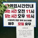 돌산아나고 이미지