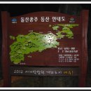 돌산주유소 Daum카페