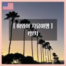 주식회사 니트로스 | [하와이 자유여행] 1일차 - LAX/HNL/와이켈레아울렛/와이키키비치