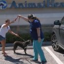 on동물병원 이미지